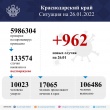 В Краснодарском крае за сутки выявили 962 случая коронавируса