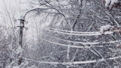 В ближайшие 1-3 часа до конца суток 3 декабря ночью и утром в первую половину дня 4 декабря в Краснодарском крае ожидается сильное налипание мокрого снега.  