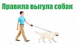 Памятка для владельцев домашних животных в Краснодарском крае
